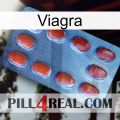 Viagra 06